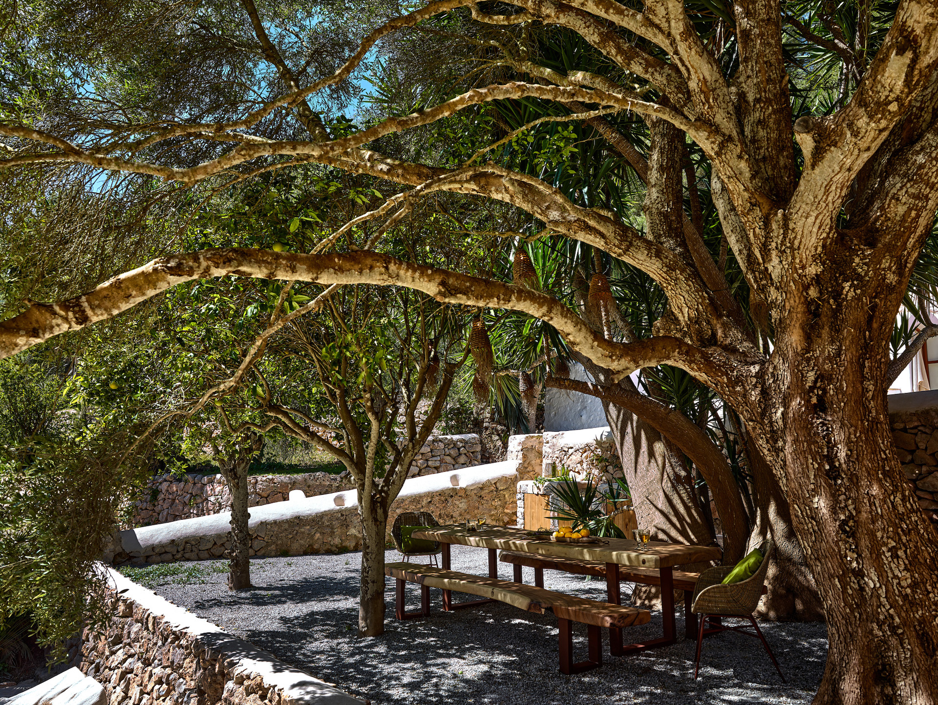 Resa Esatates for sale finca st rafael Ibiza modern 1 campo 6.jpg